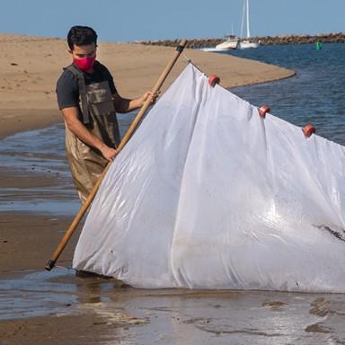 A Marine 科学 student engaging in h和s-on learning in the ocean